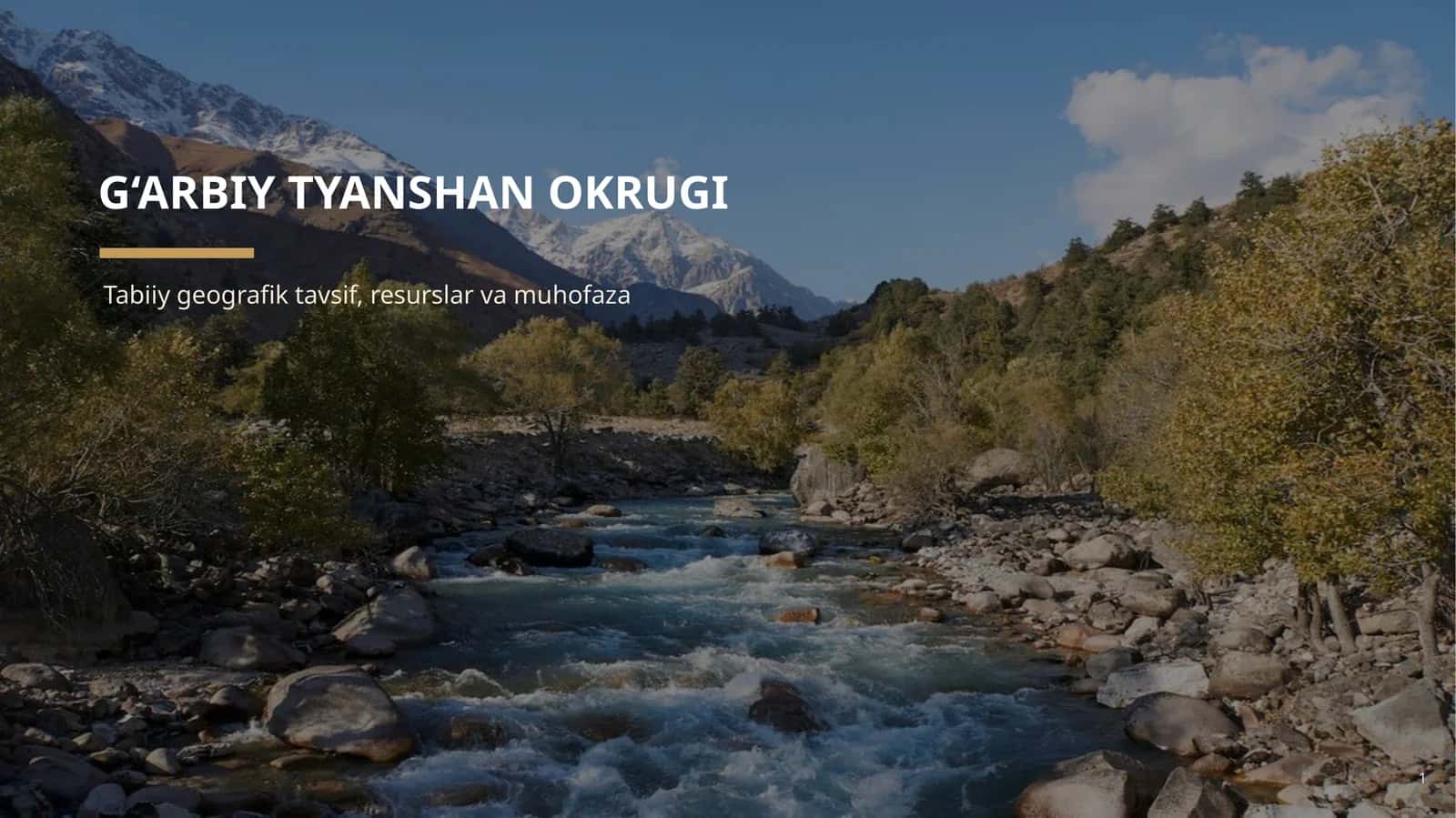 G‘ARBIY TYANSHAN OKRUGI 1