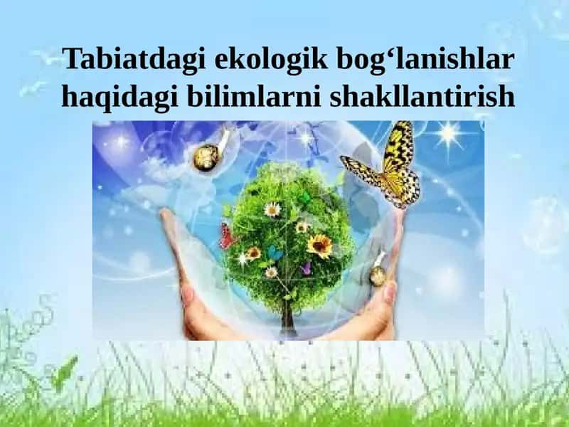 Tabiatdagi ekologik bog‘lanishlar haqidagi bilimlarni shakllantirish 1