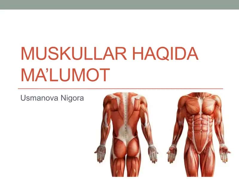 Muskullar haqida ma’lumot 1