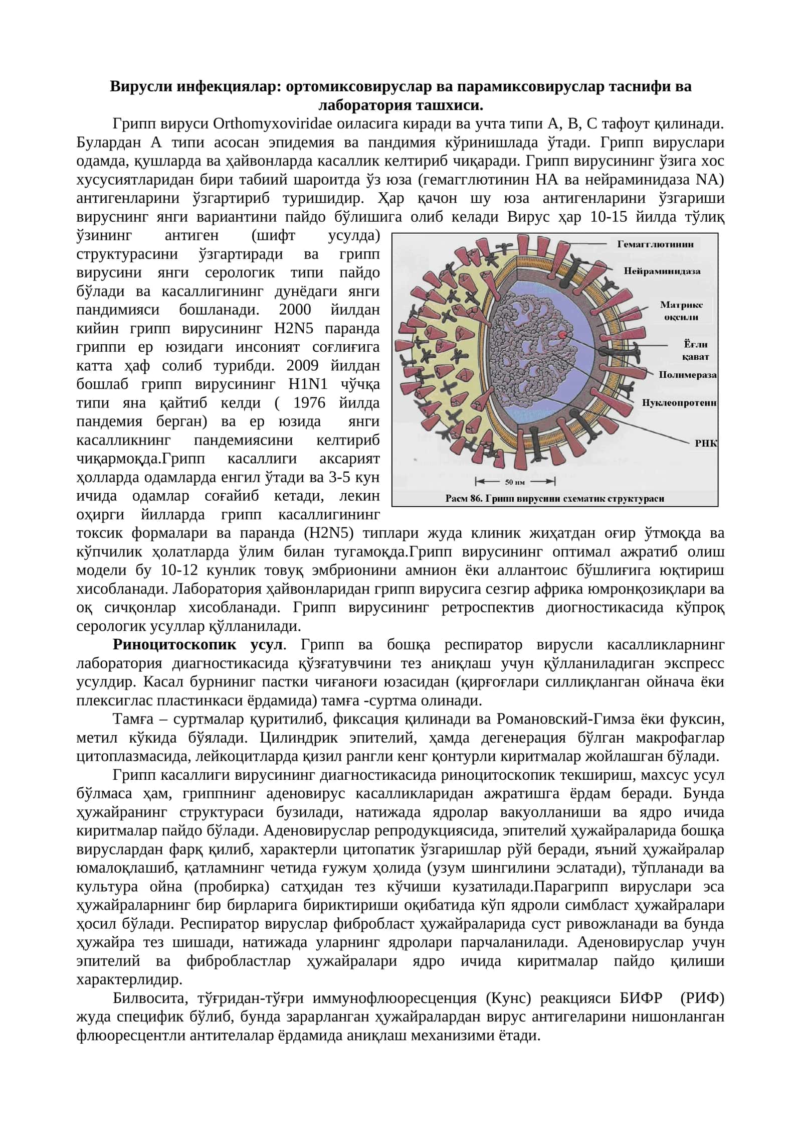 Вирусли инфекциялар: ортомиксовируслар ва парамиксовируслар таснифи ва лаборатория ташхиси 1