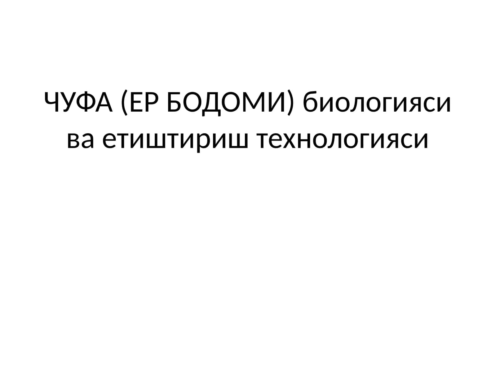 ЧУФА (ЕР БОДОМИ) биологияси ва етиштириш технологияси 1