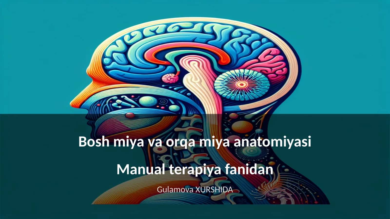 Bosh miya va orqa miya anatomiyasi 1