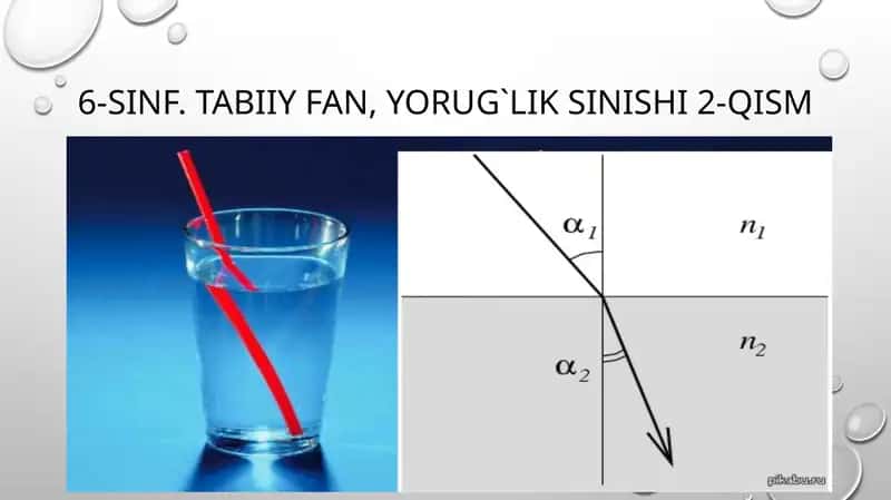 6-sinf.Tabiiyfan,yorug`liksinishi2-qism 1