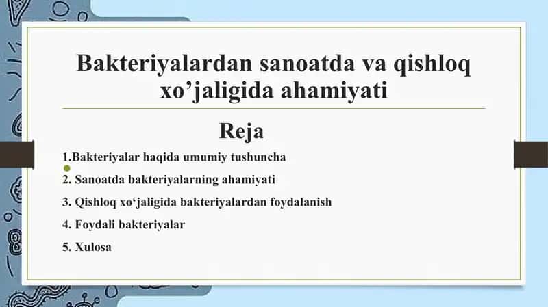 Bakteriyalarning sanoat va qishloq  xo‘jaligida ahamiyati 1