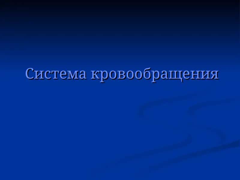 Система кровообращения 1