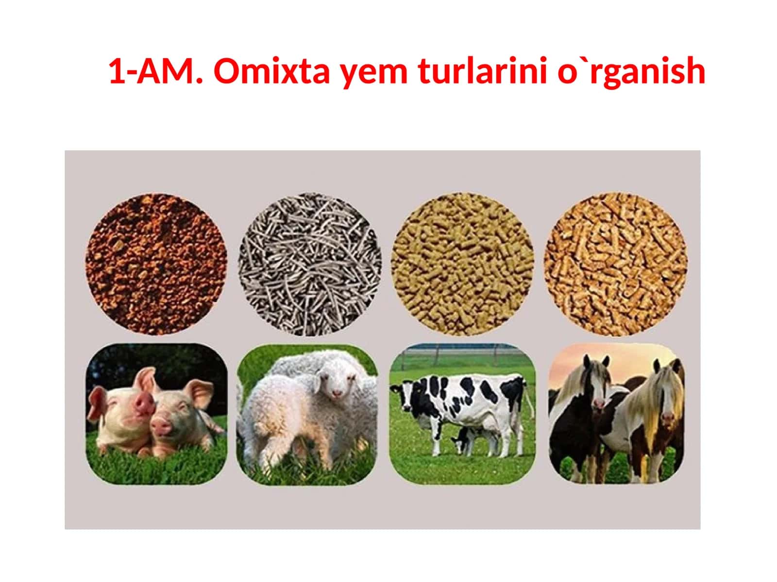 Granulalangan omixta yem mahsulotlari 1