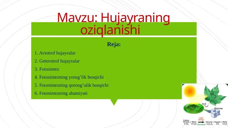 Hujayraning oziqlanishi 1