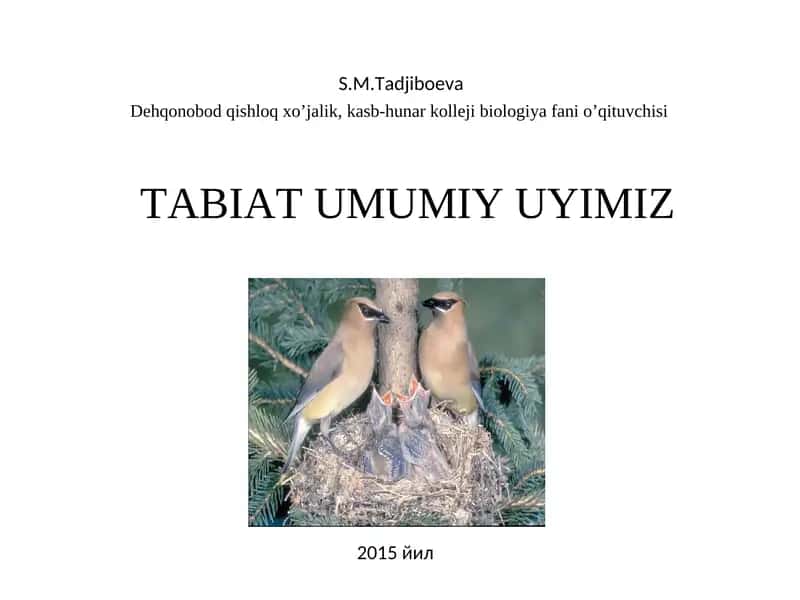 TABIAT UMUMIY UYIMIZ 1
