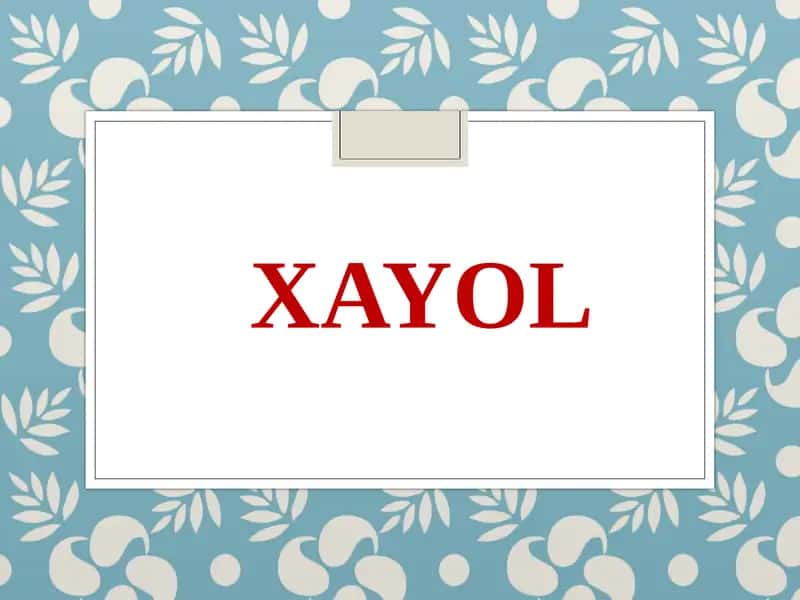 Xayol 1
