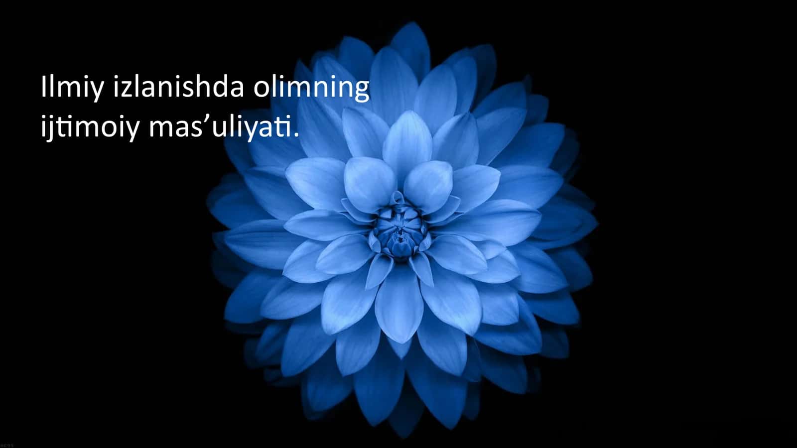 Ilmiy izlanishda olimning ijtimoiy mas’uliyati 1
