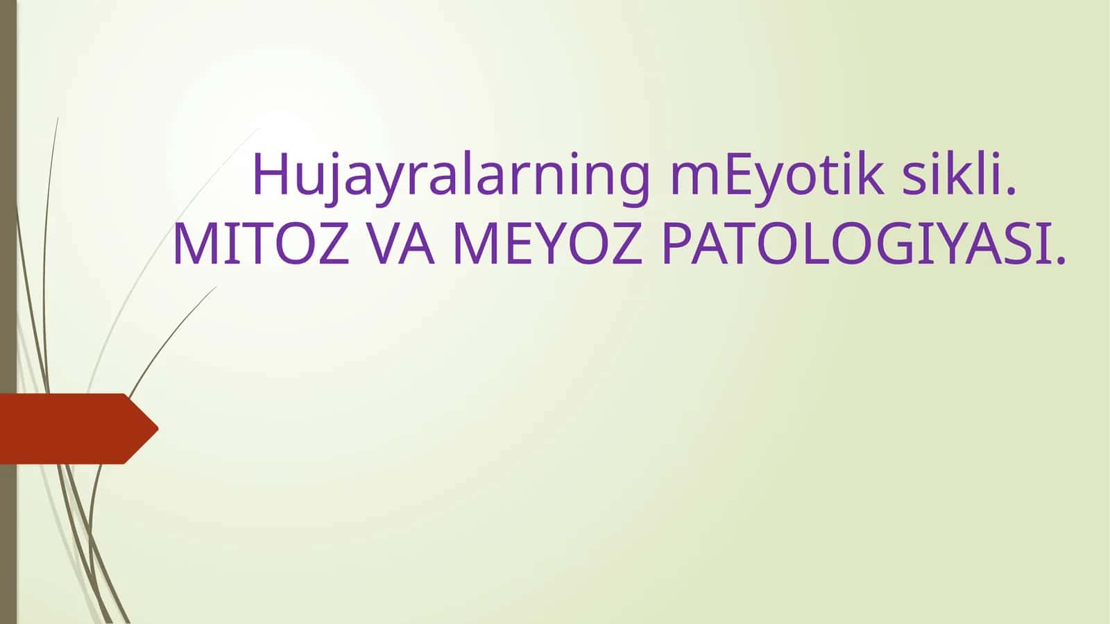 HujayralarningmEyotiksi. MITOZ VA MEYOZ PATOLOGIYASI 1