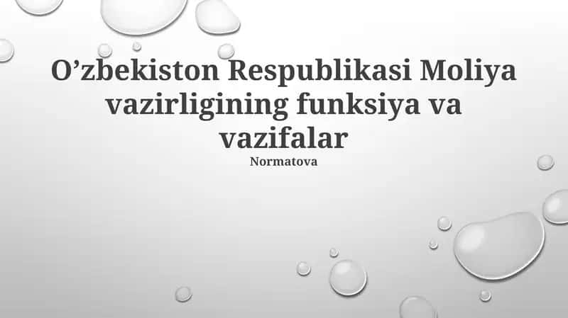 Oʼzbekiston Respublikasi Moliya vazirligining funksiya va vazifalar 1