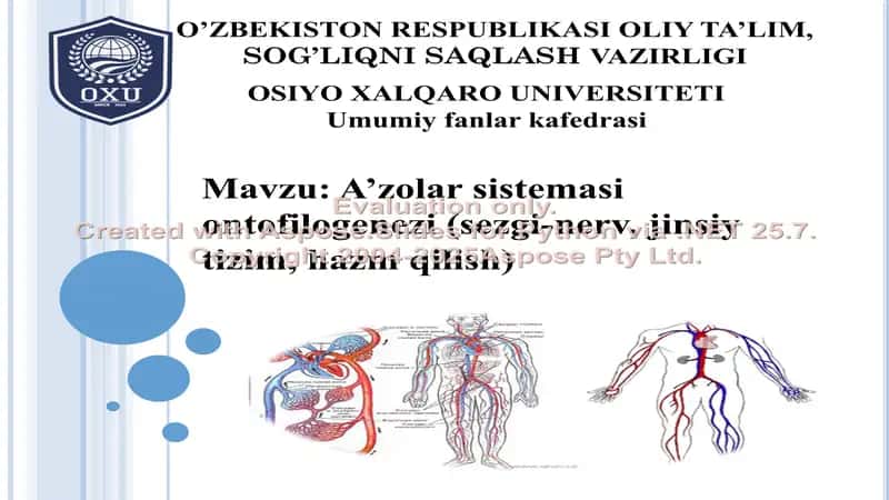 A'zolar sistemasi ontofilogenezi 1