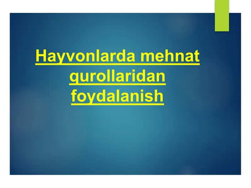 Hayvonlarda Mehnat Qurollaridan Foydalanish 1