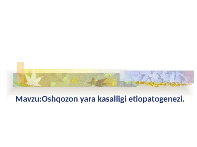 Oshqozon yara kasalligi etiopatogenezi 1