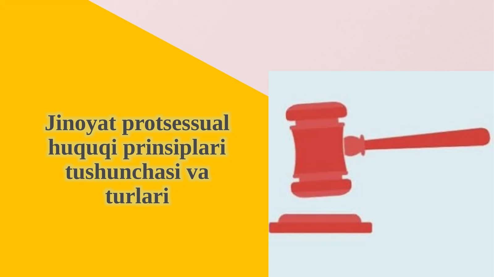 Jinoyatprotsessual huquqi prinsiplari tushunchasi va turlari 1