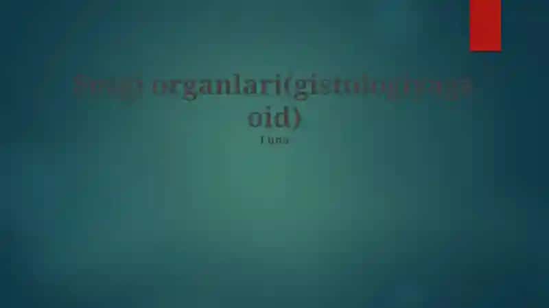 Sezgi organlari(gistologiyaga oid)