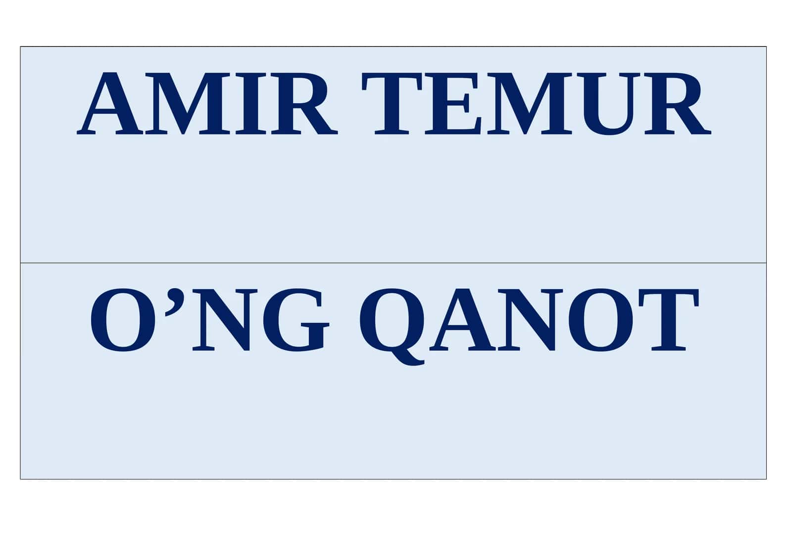 AMIR TEMUR 1