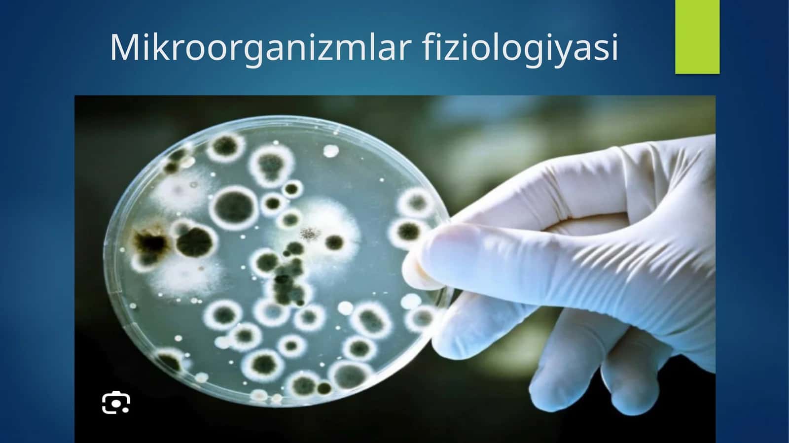 Mikroorganizmlar fiziologiyasi 1