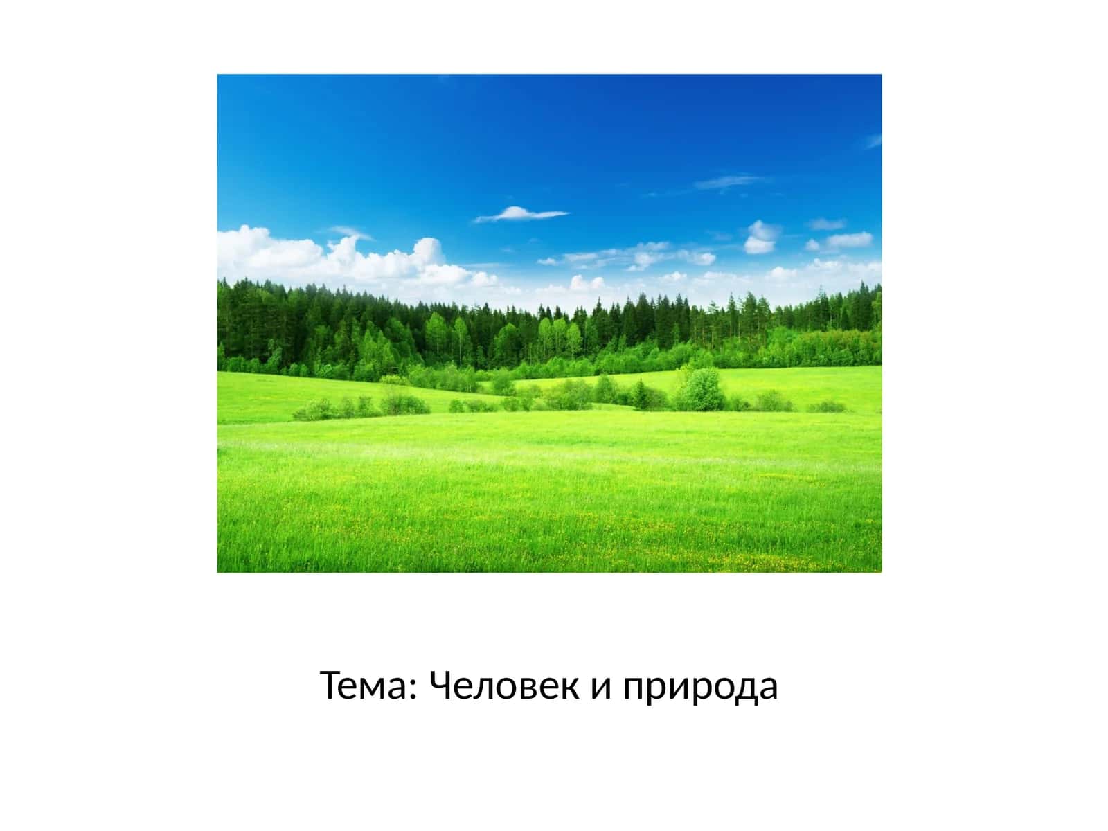 Человек и природа 1