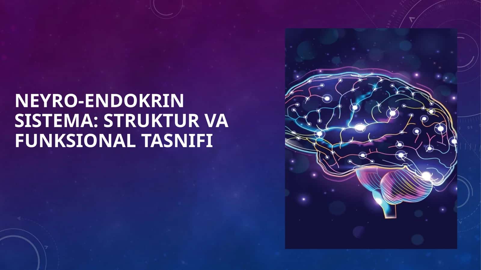 Neyro-endokrin Sistema: Struktur va Funksional Tasnifi 1