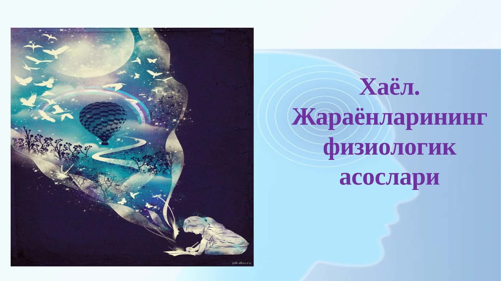 Хаёл. Жараёнларининг физиологик асослари 1