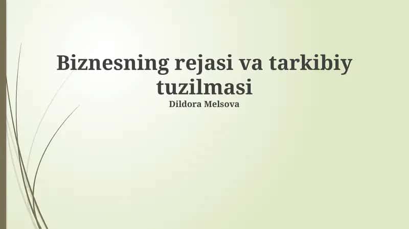 Biznesning rejasi va tarkibiy tuzilmasi 1
