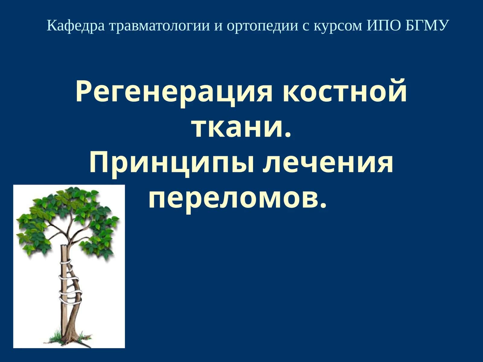 Регенерация костной ткани.Принципы лечения переломов 1