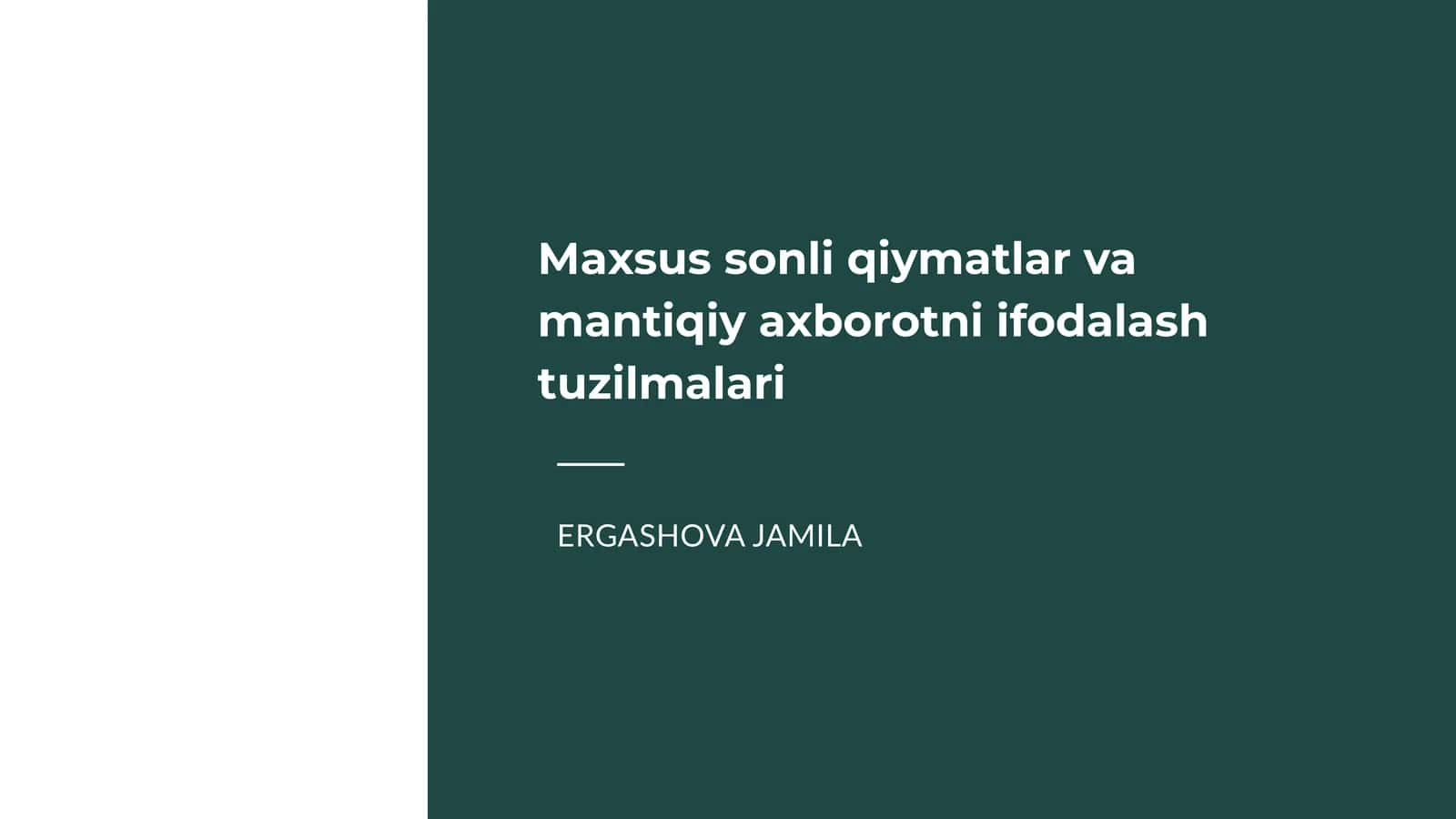 Maxsus sonli qiymatlar va mantiqiy axborotni ifodalash tuzilmalari 1