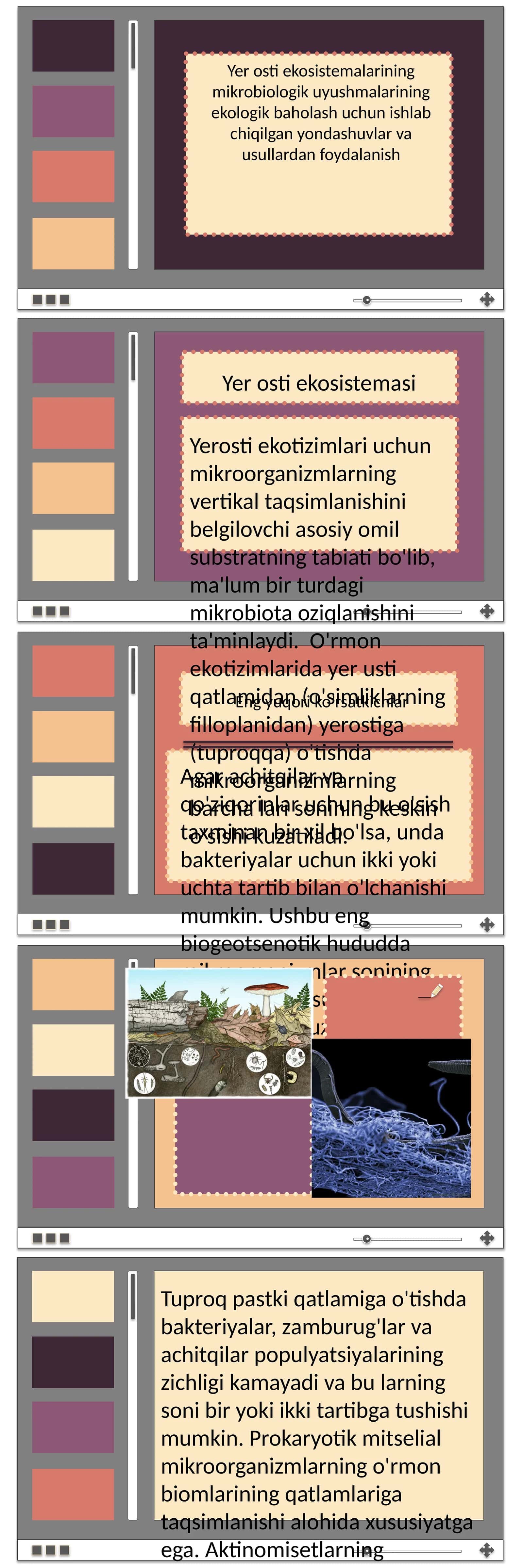 Agar achitqilar va qo'ziqorinlar 1