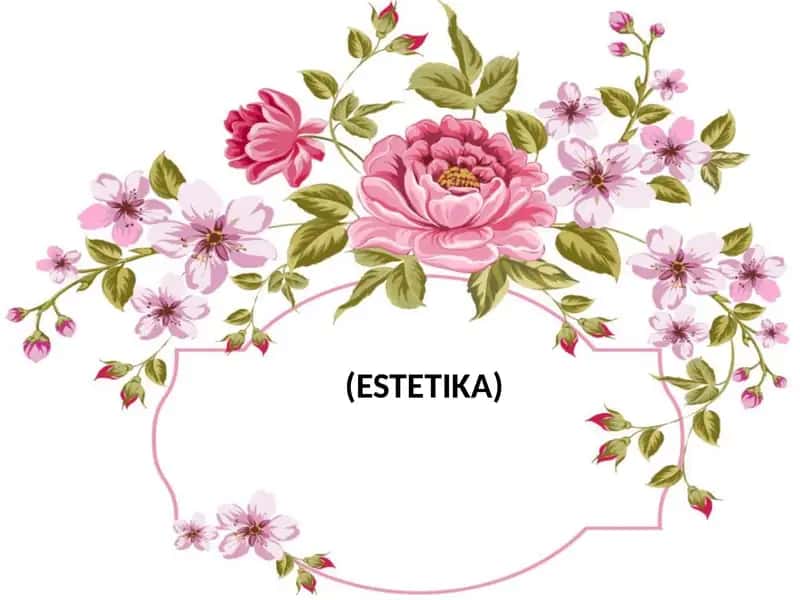 ESTETIKA 1