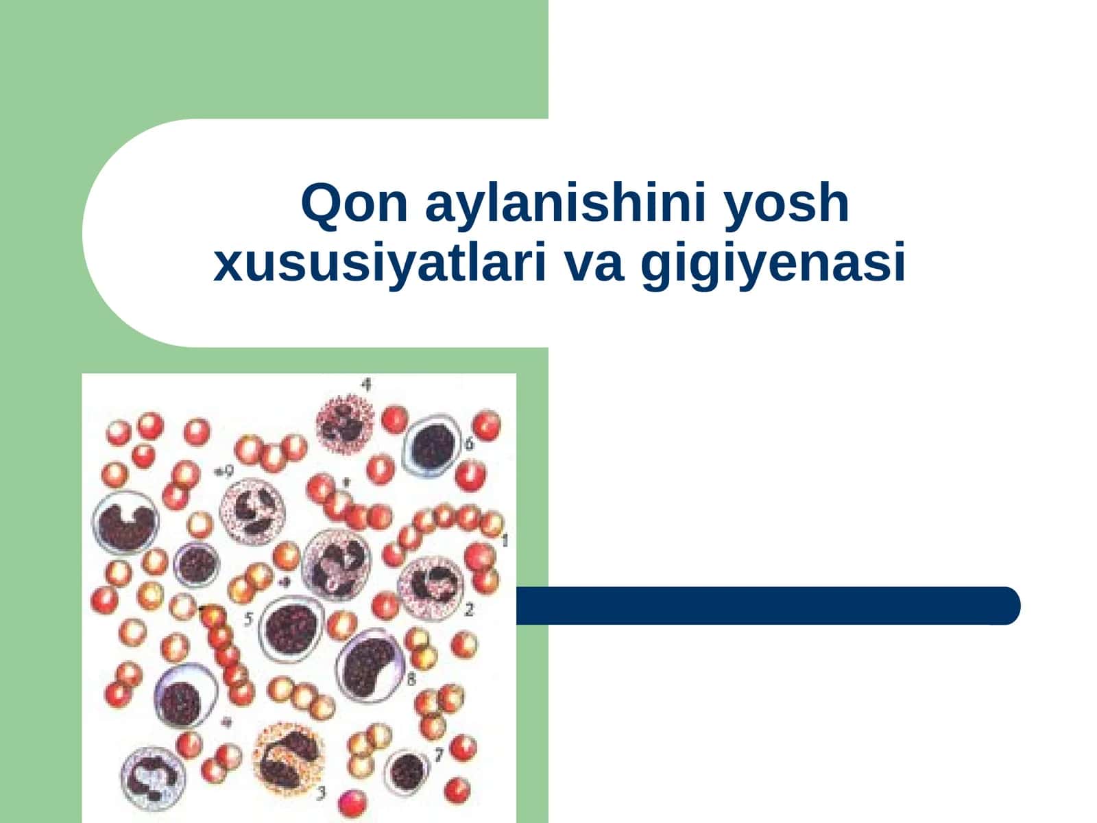 Yurak Muskuili 1