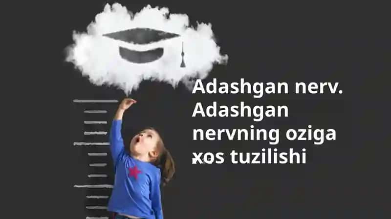 Adashgan nerv