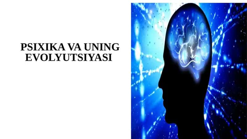Psixika va uning evolyutsiyasi 1