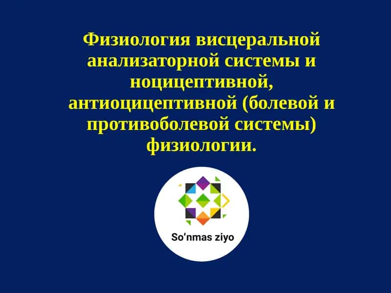 Физиология висцеральной анализаторной системы 1