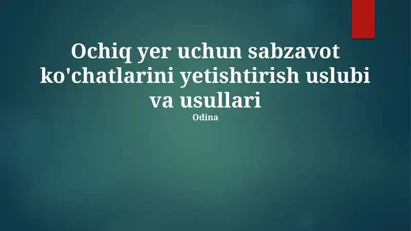Ochiq yer uchun sabzavot ko'chatlarini yetishtirish uslubi va usullari 1