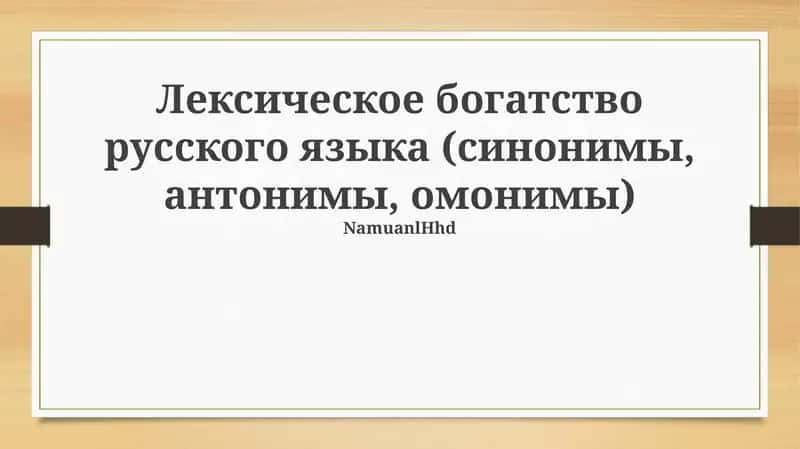 Лексическое богатство русского языка (синонимы, антонимы, омонимы) 1