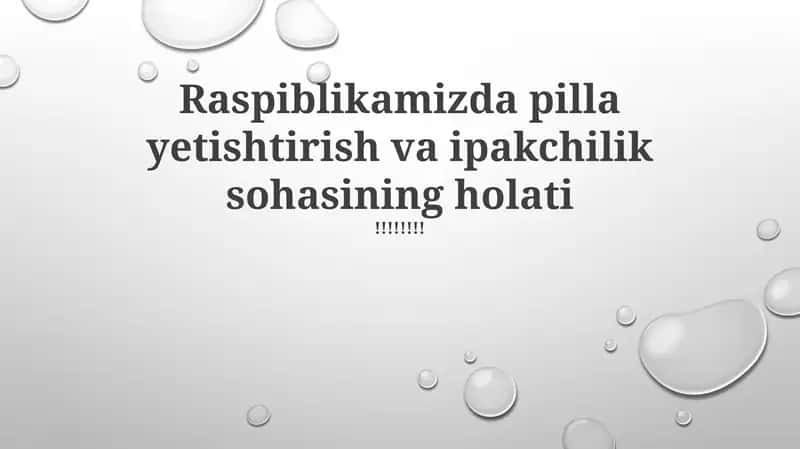 Ipakchilik holati: Qiyinchiliklar va imkoniyatlar 1