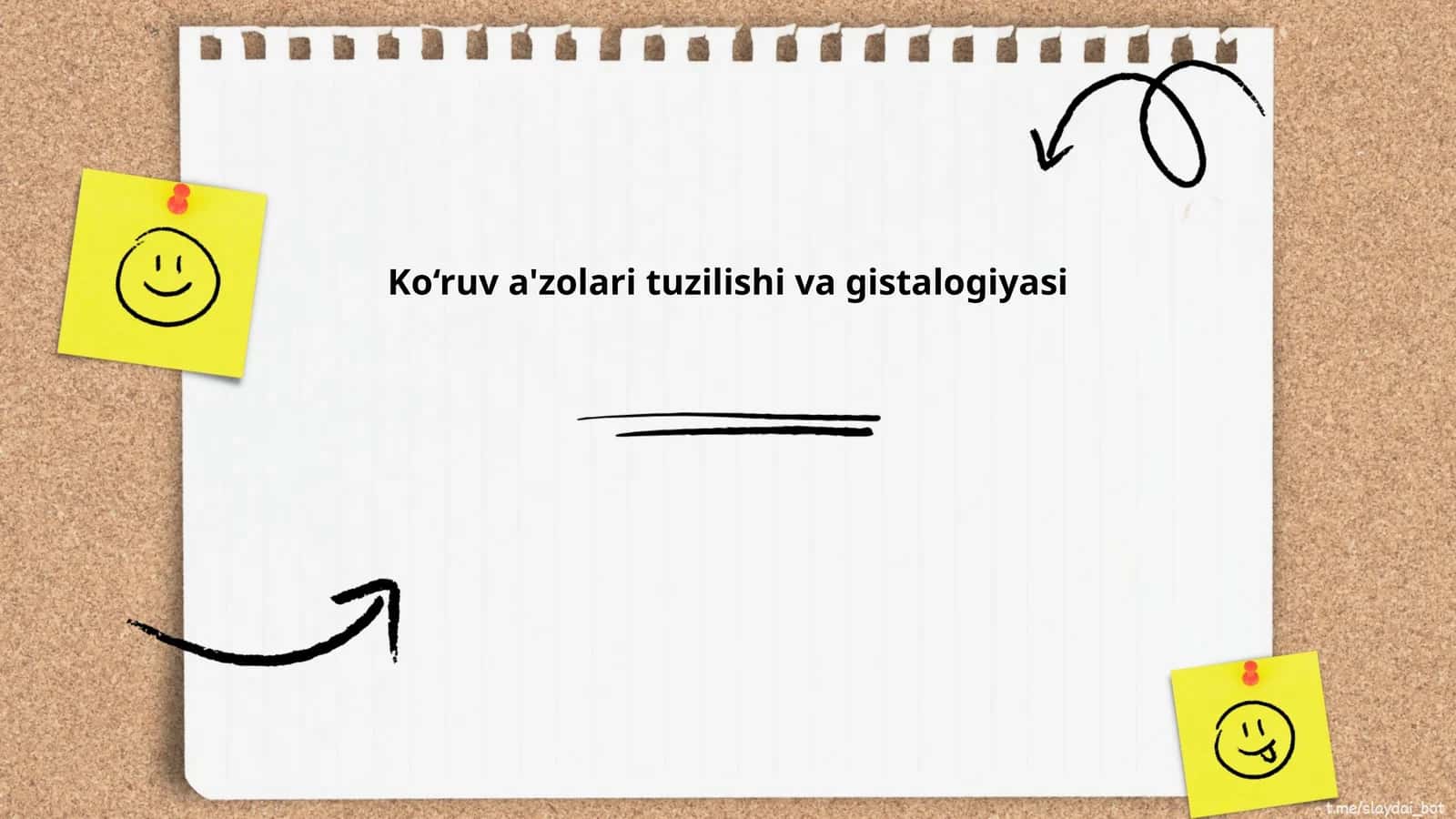 Ko‘ruv a'zolari tuzilishi va gistalogiyasi 1