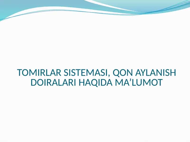 TOMIRLAR SISTEMASI, QON AYLANISH DOIRALARI HAQIDA MA’LUMOT 1
