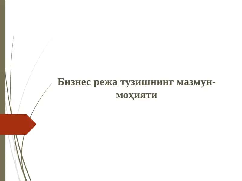 Бизнес-режа, Biznes reja tuzish 1