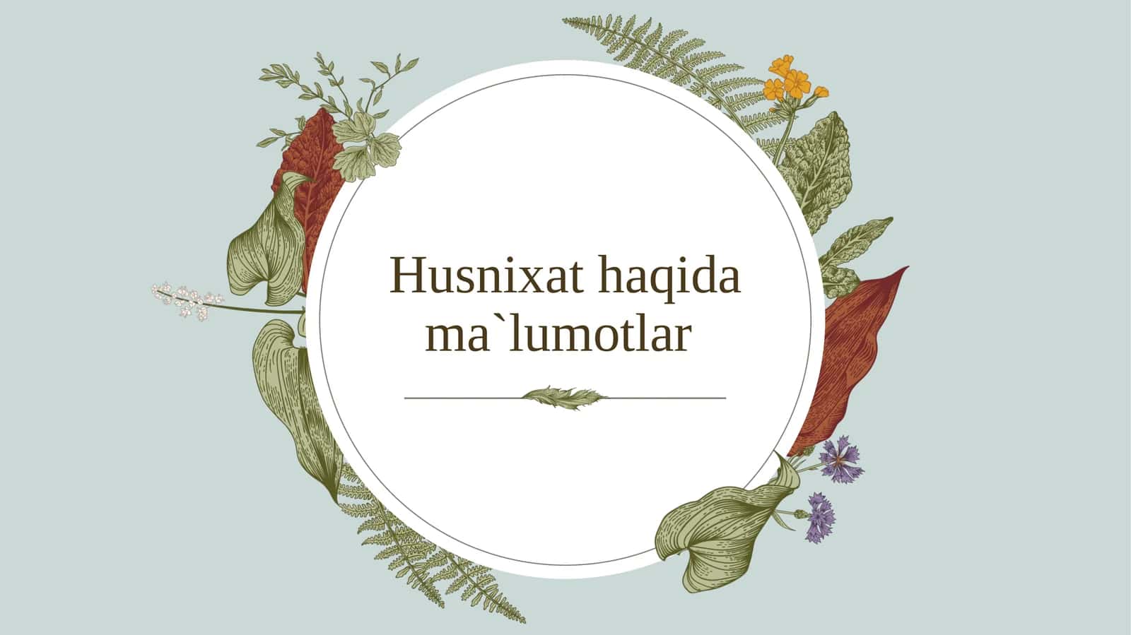 Husnixathaqidama`lumotlar 1