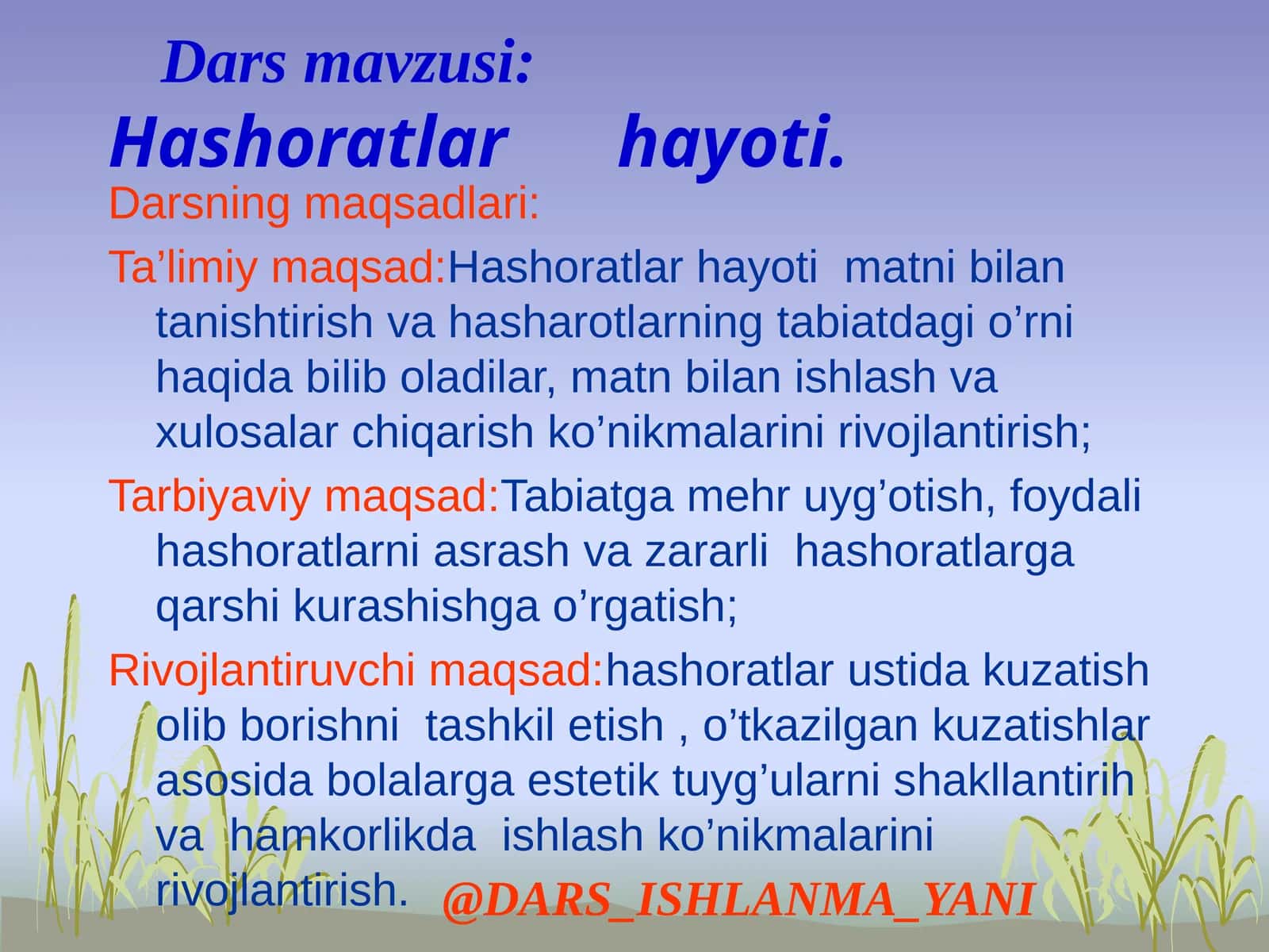 Hashoratlar  hayoti 1