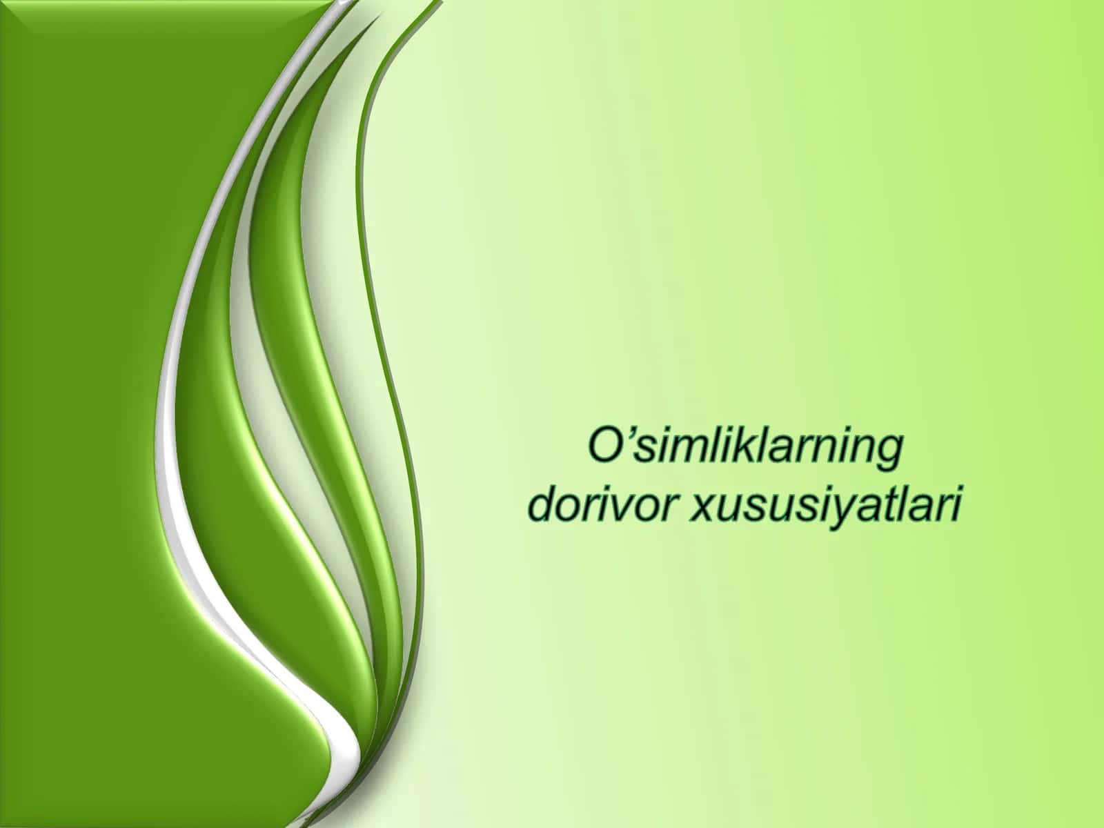 Dorivor o`simliklar 1