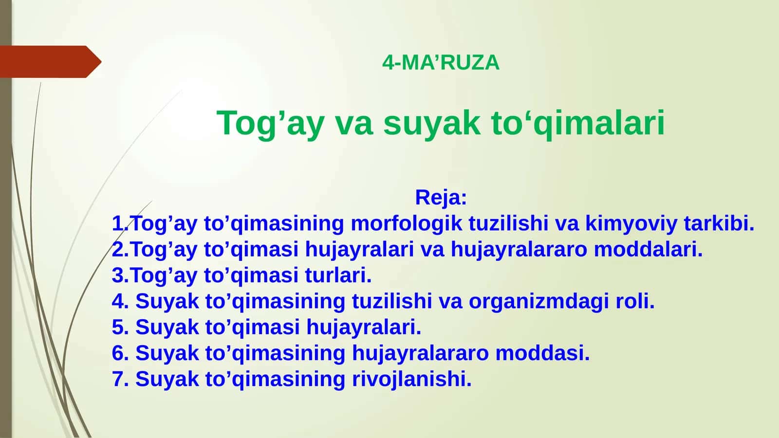 Tog’ay va suyak to‘qimalari 1