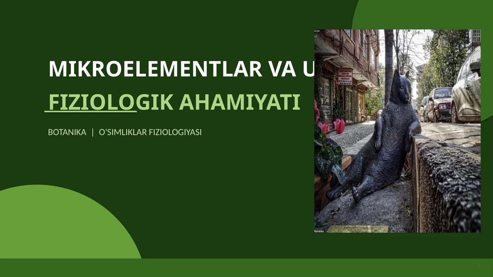Mikroelementlar va ularning fizsiologik ahamiyati 1