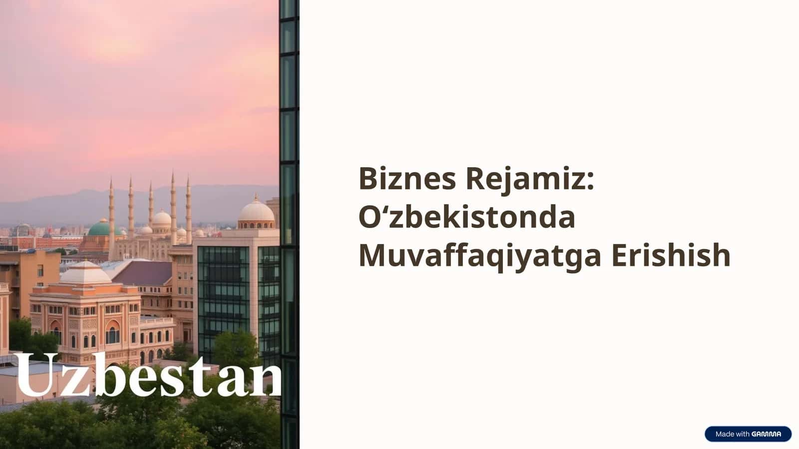 yuz ming dollarlik biznes reja 1