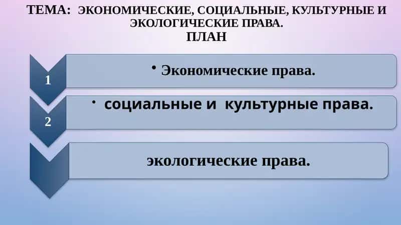 Экономические, социальные, культурные и экологические права 1