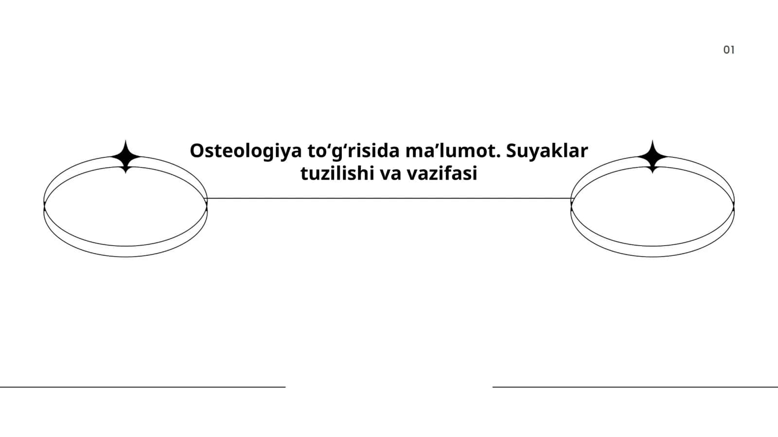 Suyaklar tuzilishi va vazifasi 1
