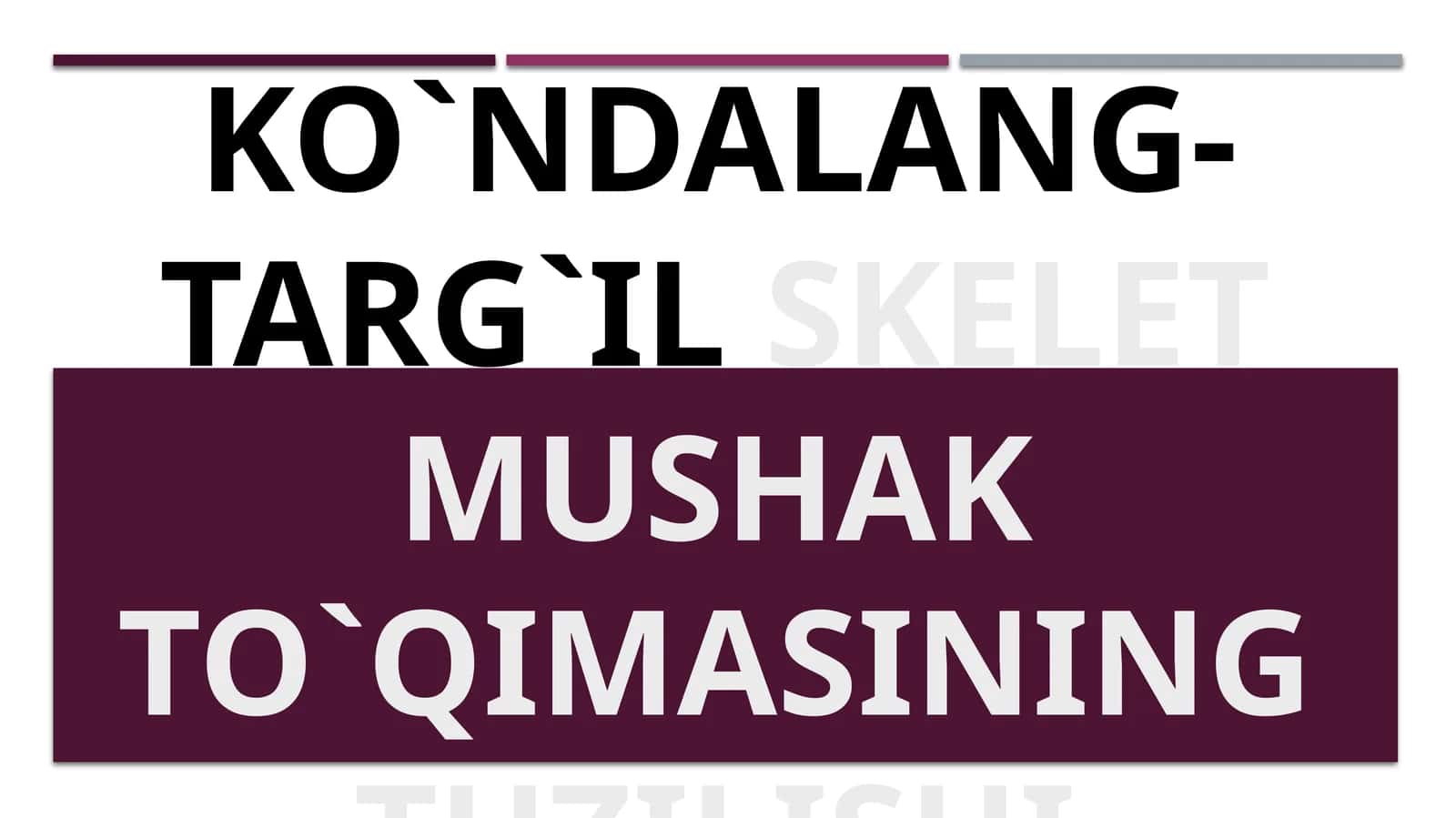 Ko`ndalang-targ`ilskelet mushak to`qimasining tuzilishi 1